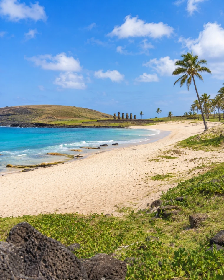 Praia de Anakena em Rapa Nui Praia de Anakena com areia clara, mar azul, palmeiras e moais em Rapa Nui